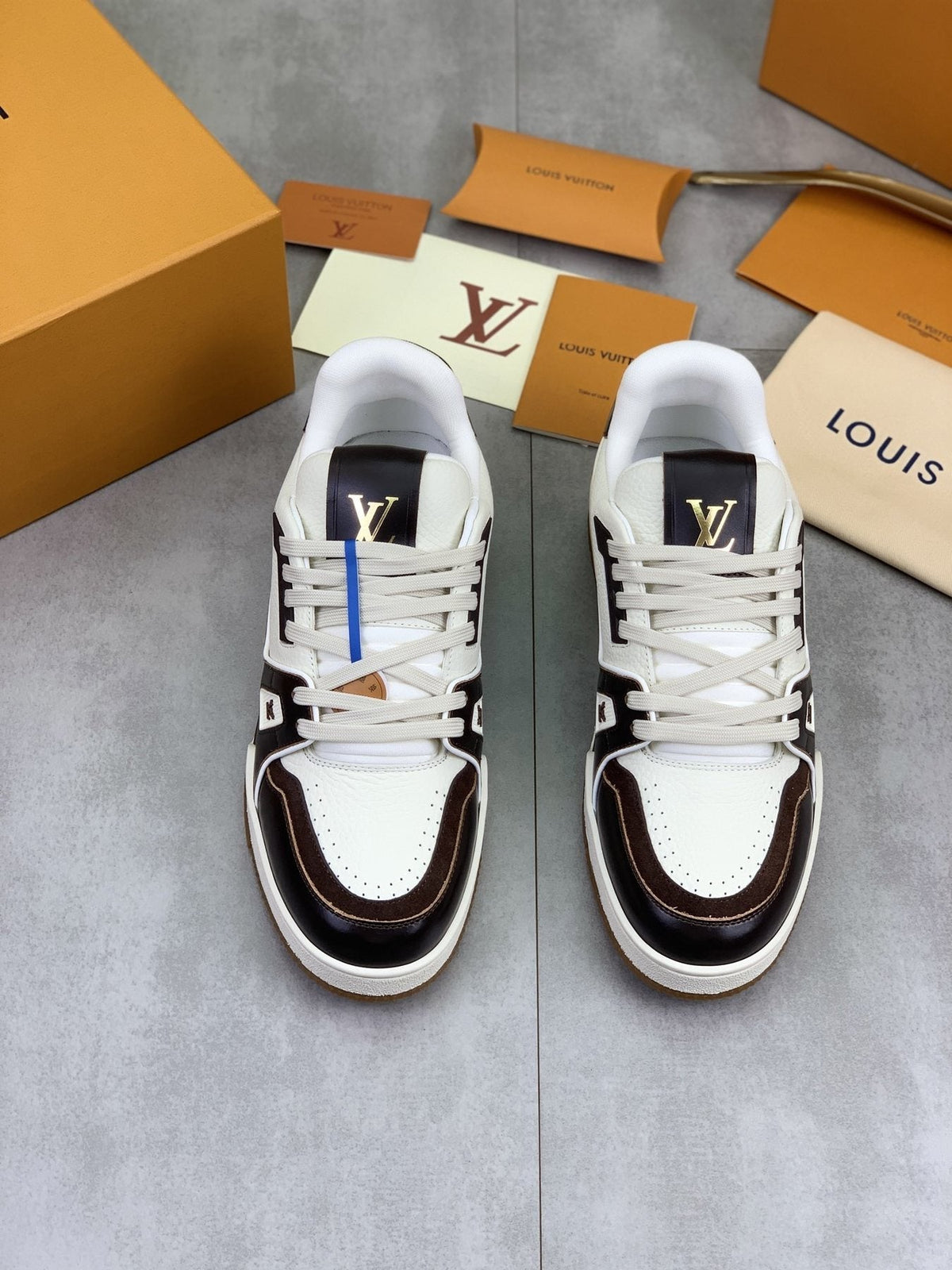 Louis Vuitton Panel-Trim Low-Top Sneakers — front