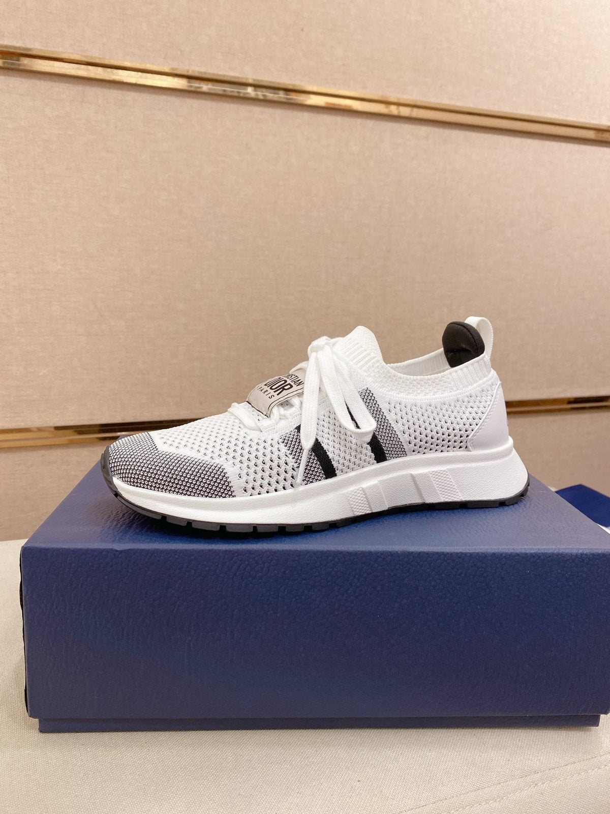 Dior B30 Mesh Sneakers — front